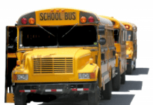 A line of yellow school buses on a white background.