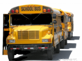 A line of yellow school buses on a white background.