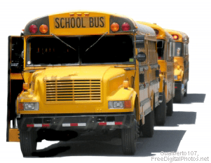 A line of yellow school buses on a white background.
