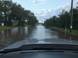 auto driver's view of flooded street