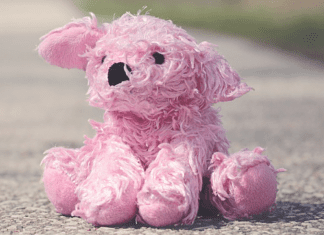 pink stuffed animal