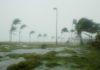 La Costa del Golfo se prepara para la temporada de huracanes ~ Gulf Coast prepares for Hurricane Season hurricane winds blowing through palm trees