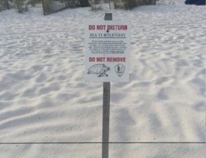 Warning sign to protect turtles on the beach