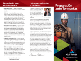 Gulf Power Spanish brochure page 1