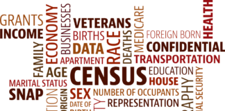 A word cloud of the word census.