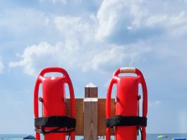 Two life preservers on a wooden post at the beach.
