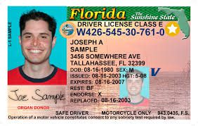 florida driver license