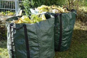 Green bags containing yard trash