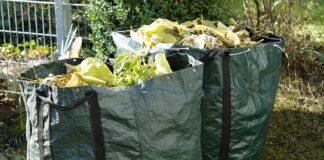 Green bags containing yard trash
