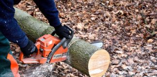 hands holding chainsaw cutting into tree
