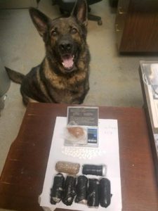 German Sheppard poses with some of her narcotics finds.