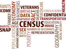 collage of words related to census