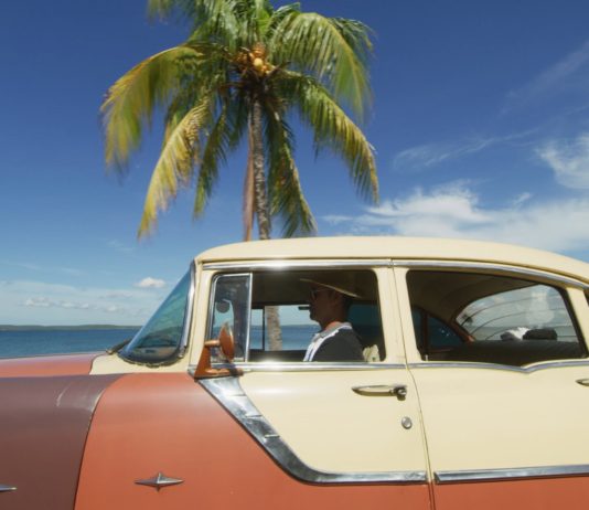 1950s car and palm tree