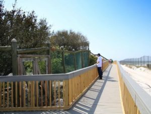 man looking standing on wooden walkway looking at dunes