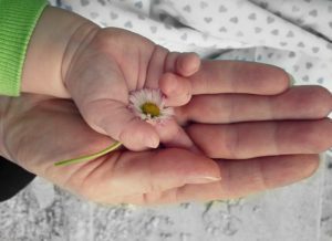 mother's hand holding baby's hand holding a flower
