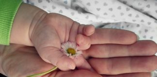 mother's hand holding baby's hand holding a flower