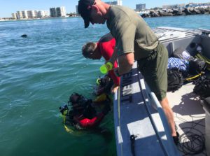 diver approaching small boat