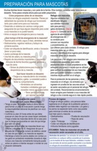 A flyer with a picture of a dog in a cage.