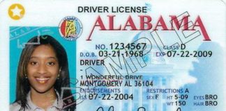 Alabama drivers license