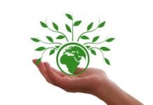 A woman's hand holding a green globe with leaves on it.