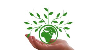 A woman's hand holding a green globe with leaves on it.
