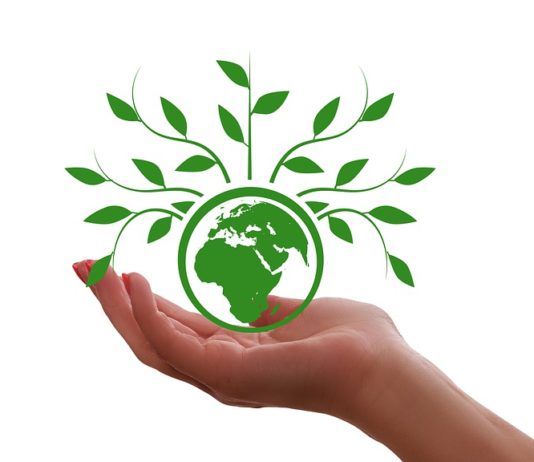 A woman's hand holding a green globe with leaves on it.