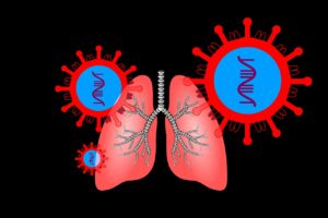 diagram of lungs and virus