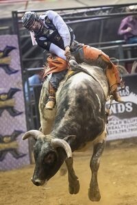 bull rider on bull