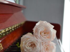 Two roses on top of a piano keyboard.