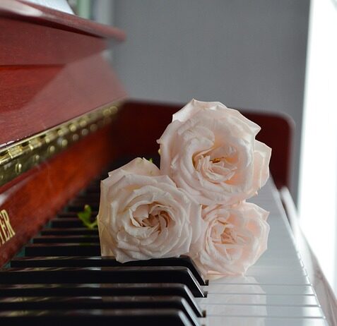 Two roses on top of a piano keyboard.