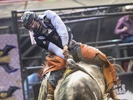 A man riding a bucking bull in a rodeo.