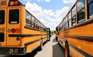 school buses