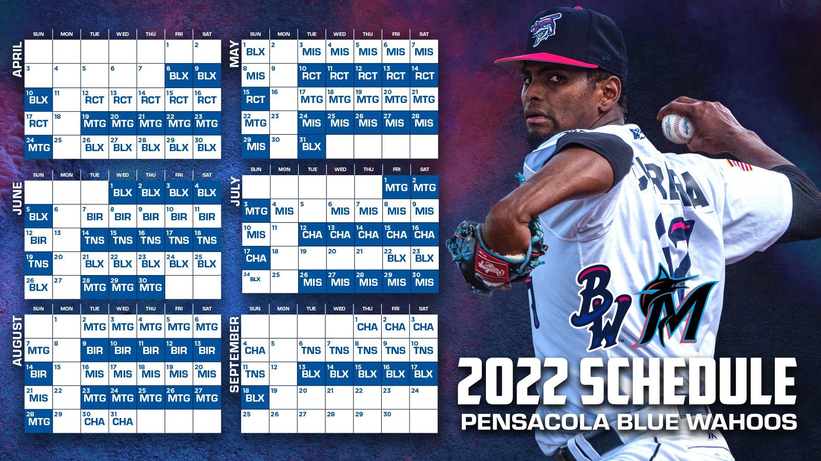 Team calendar schedule