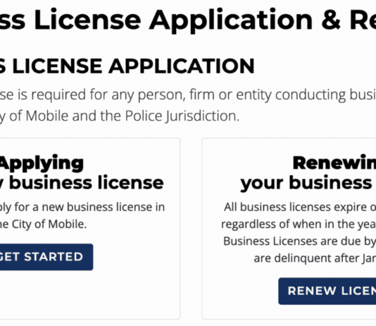 Screenshot of City of Mobile business license web page
