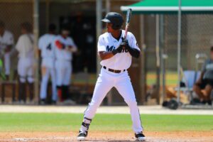 Baseball player at bat