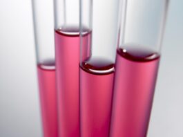 A group of test tubes filled with pink liquid.