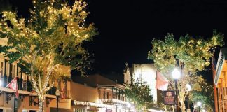downtown Pensacola decorated with holiday lights
