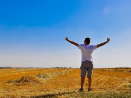 Person standing in an open field with arms stretched open