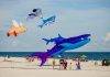 Large animal shaped kites flying over the beach
