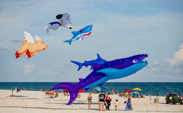 Large animal shaped kites flying over the beach