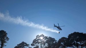 helicopter carrying water over trees