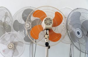 Electric fan