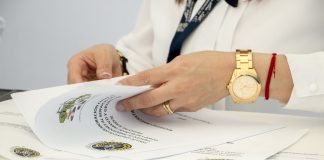 Worker examining documents