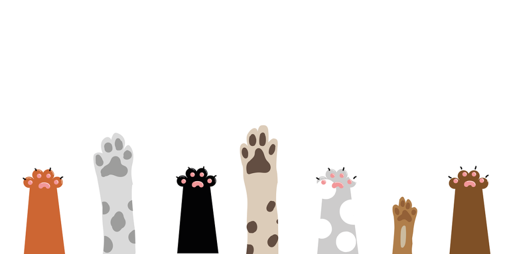 Illustration of cat and dog paws