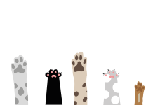 Illustration of cat and dog paws