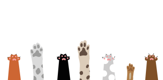 Illustration of cat and dog paws