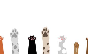 Illustration of cat and dog paws