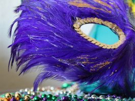 Mardi Gras mask