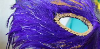 Mardi Gras mask