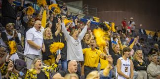 Fans cheering in the stands